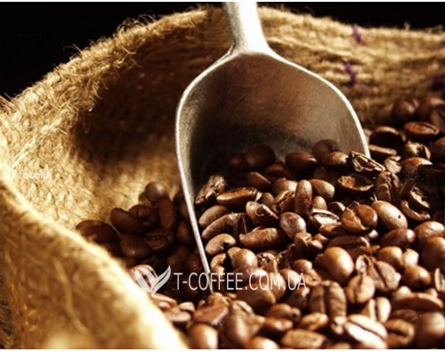Новинка! Кофе illy Monoarabica в зернах