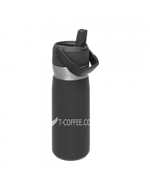 Термопляшка STANLEY Go Flip Action Straw 650 мл - фото