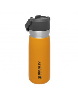 Термопляшка STANLEY Go Flip Action Straw 650 мл