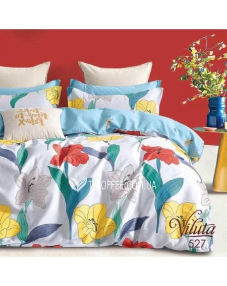 Постільна білизна Сатин Twill 527